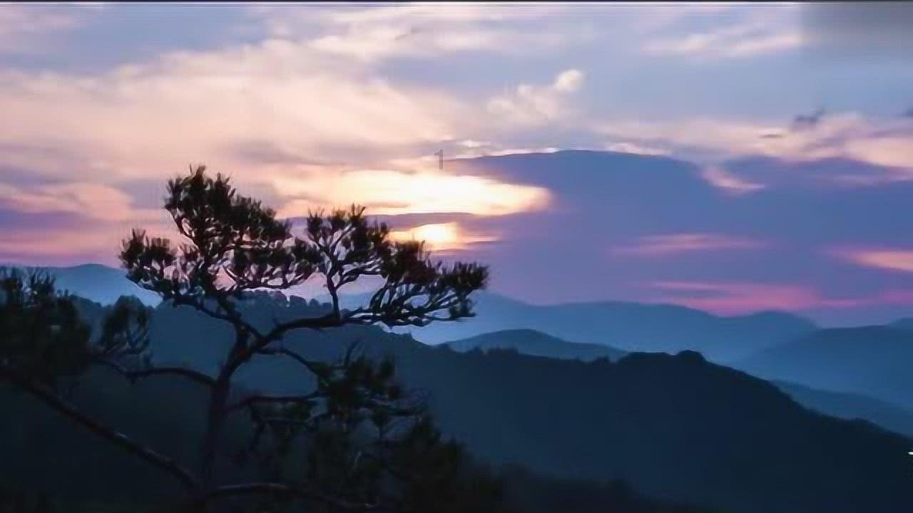 燃烧吧大脑免广告最新版